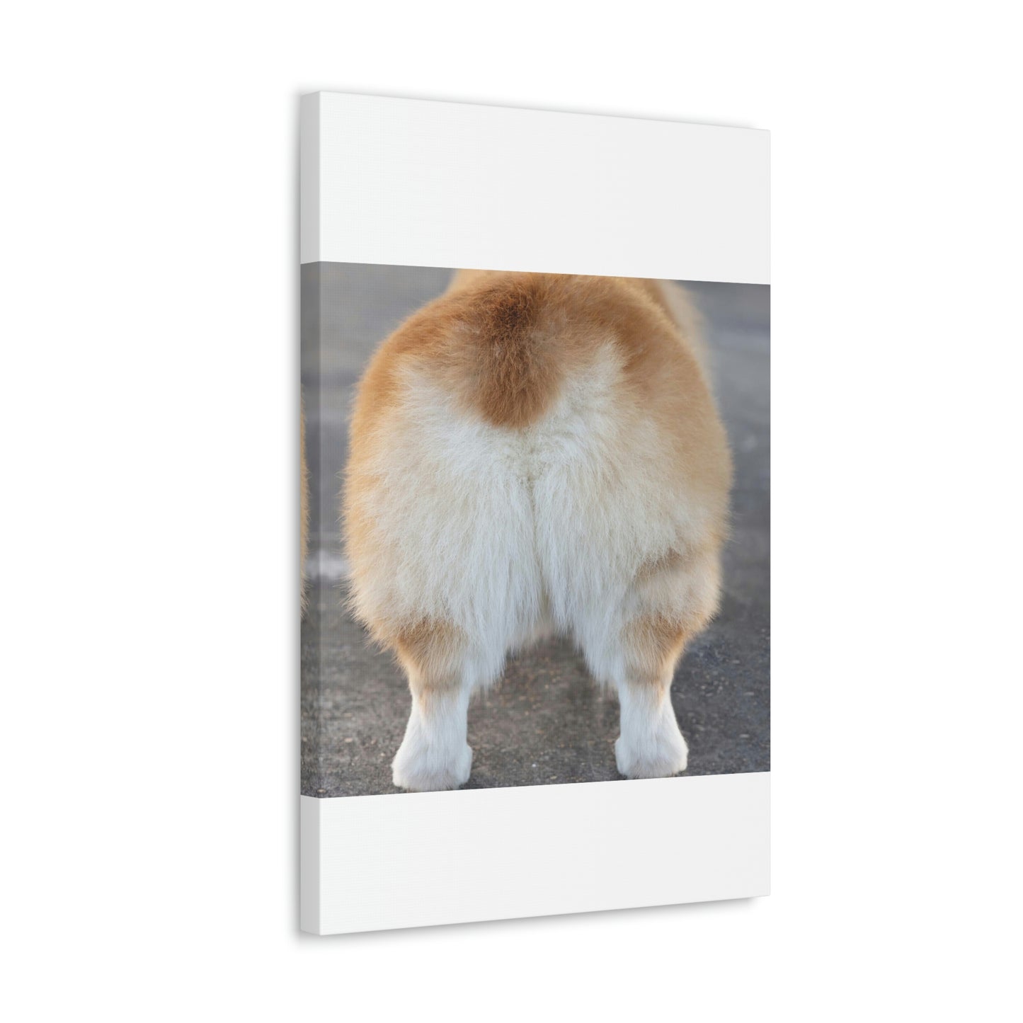 Corgi Butt Canvas