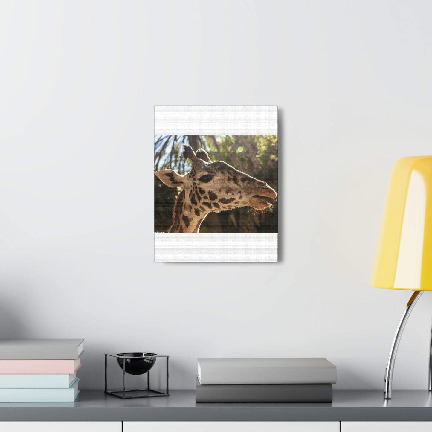 Smiling Giraffe Canvas