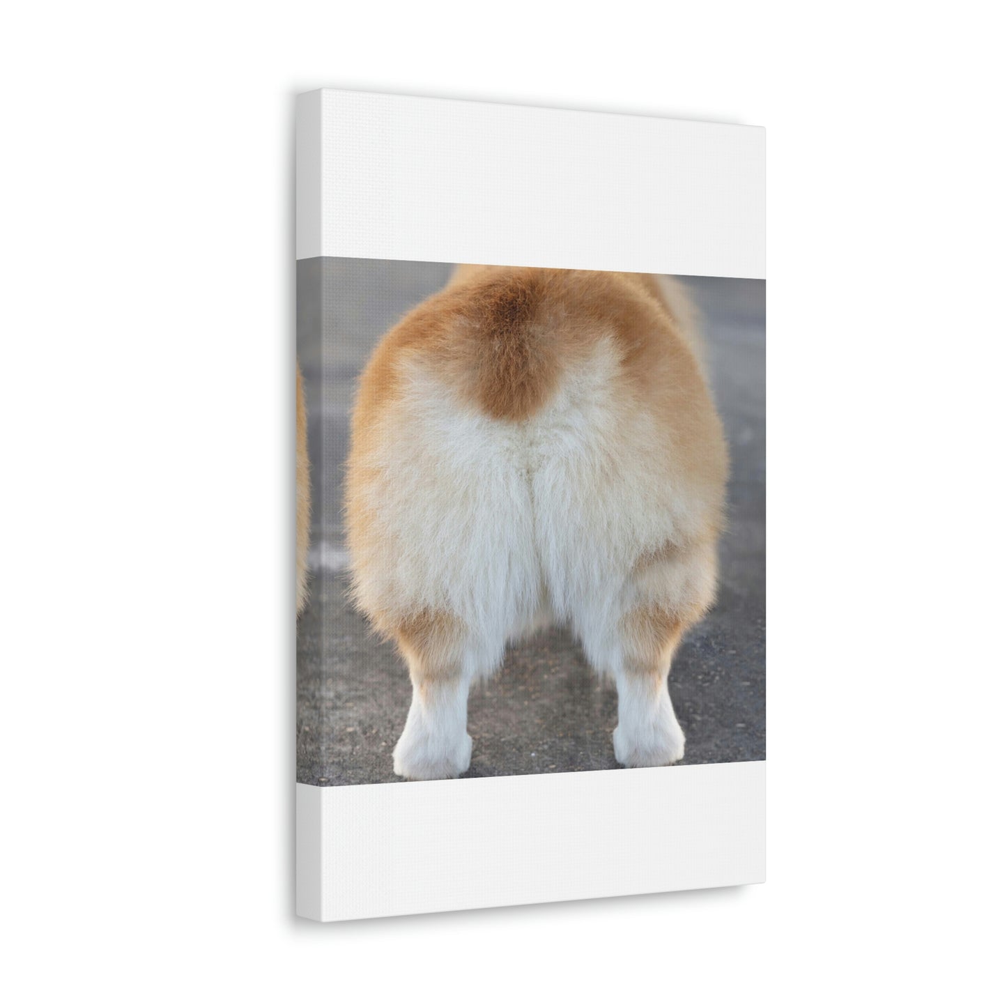 Corgi Butt Canvas