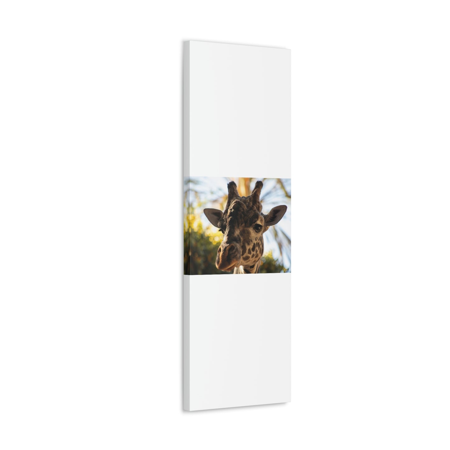 The Giraffe Says Hello Canvas