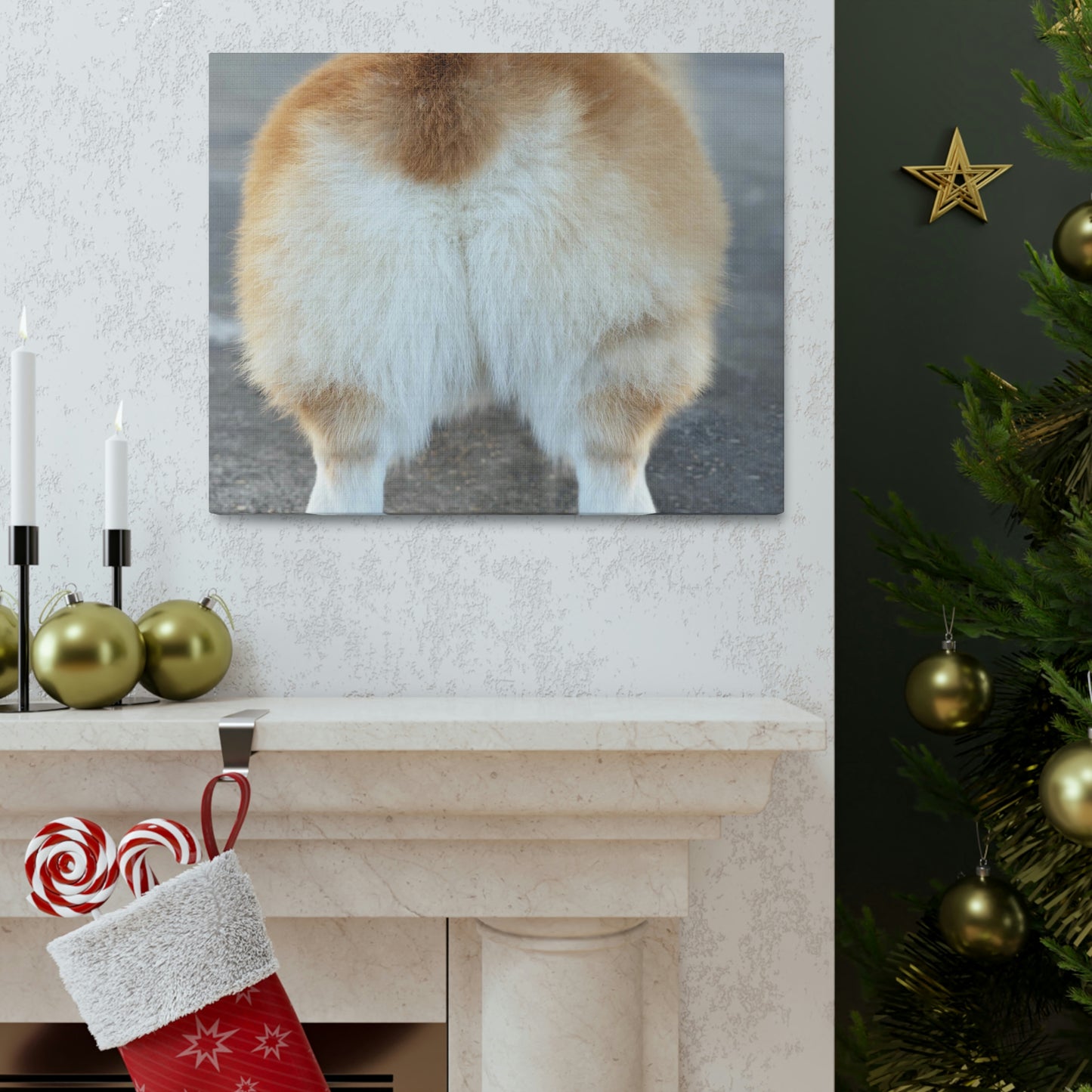 Corgi Butt Canvas