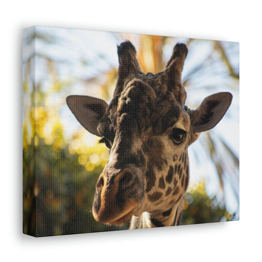 The Giraffe Says Hello Canvas