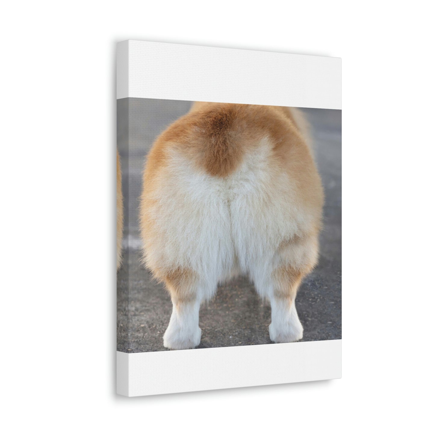 Corgi Butt Canvas