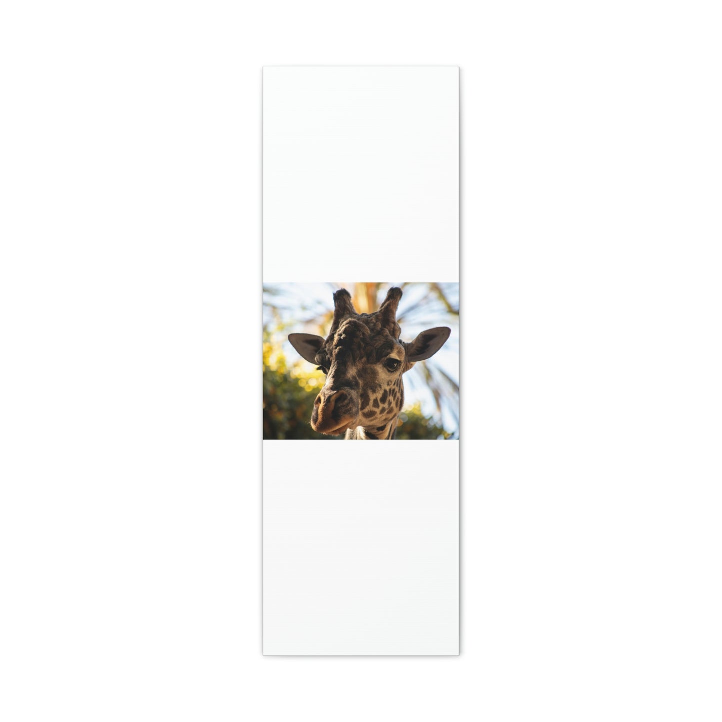 The Giraffe Says Hello Canvas