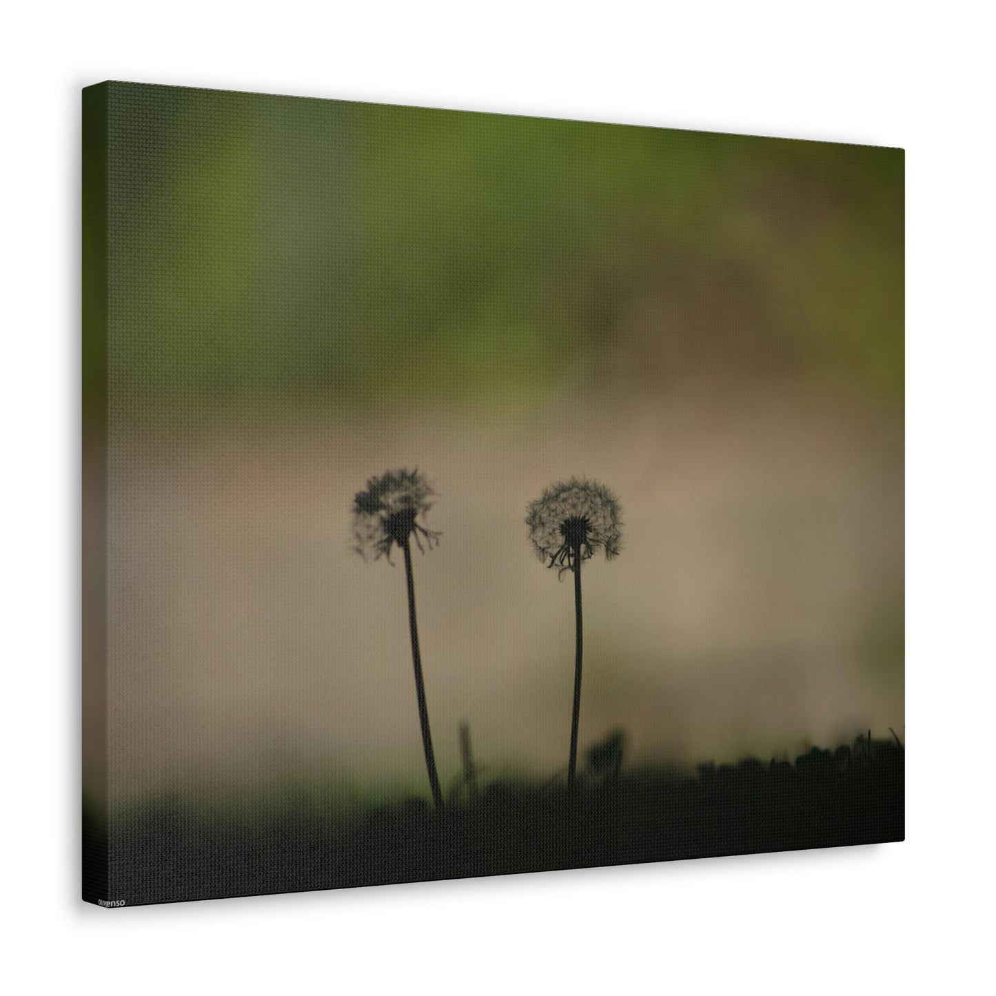 Dandelions Opposing Part 1 Canvas