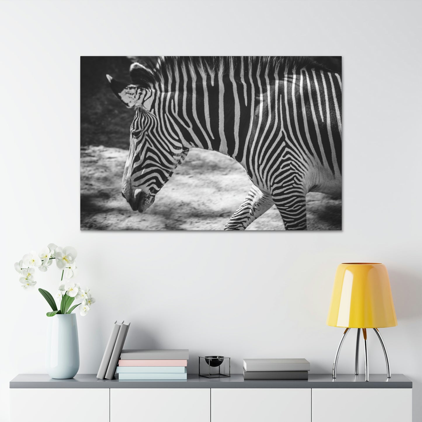 Zebra Bowing Canvas