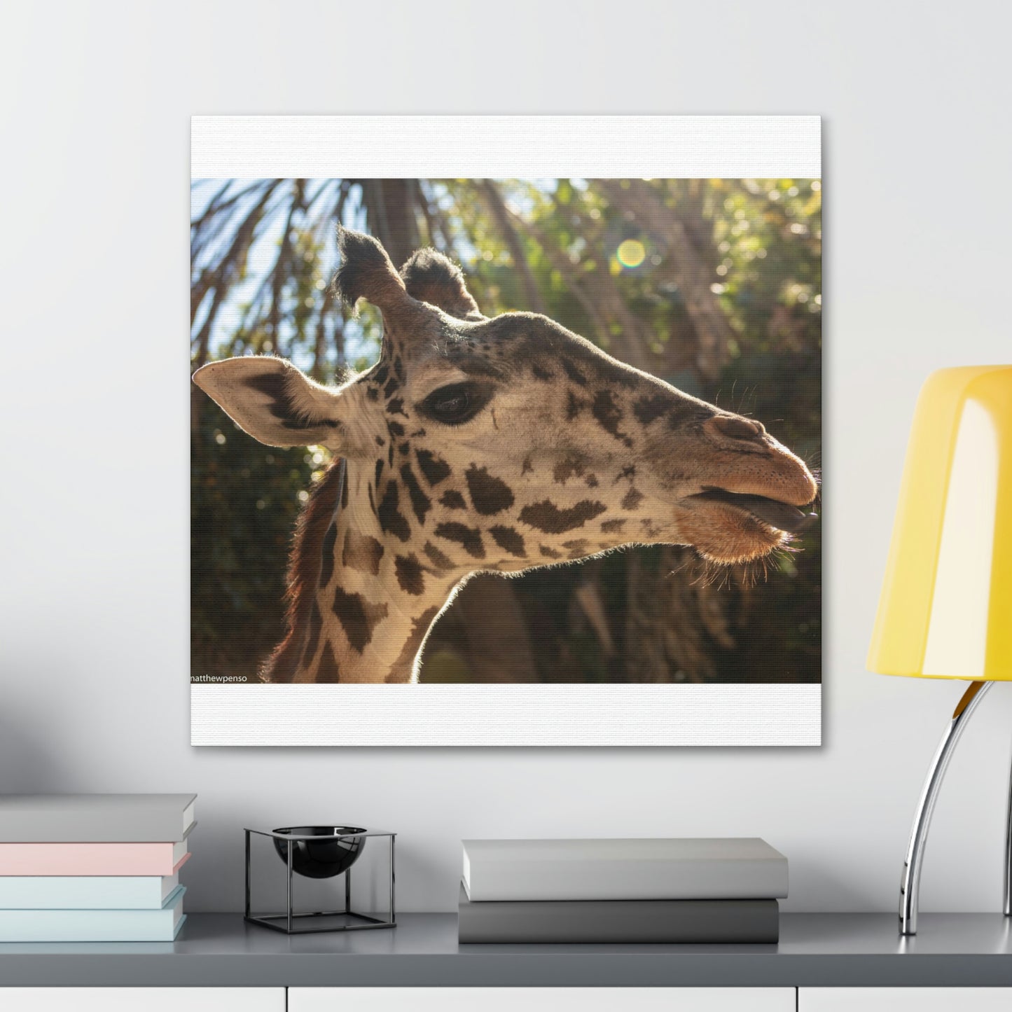 Smiling Giraffe Canvas