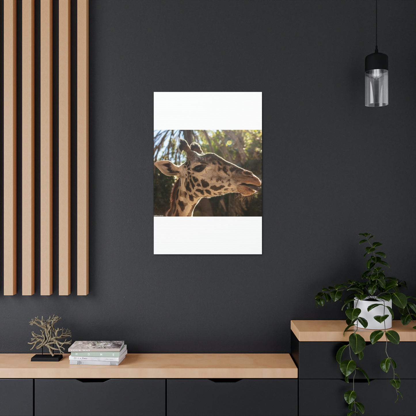 Smiling Giraffe Canvas