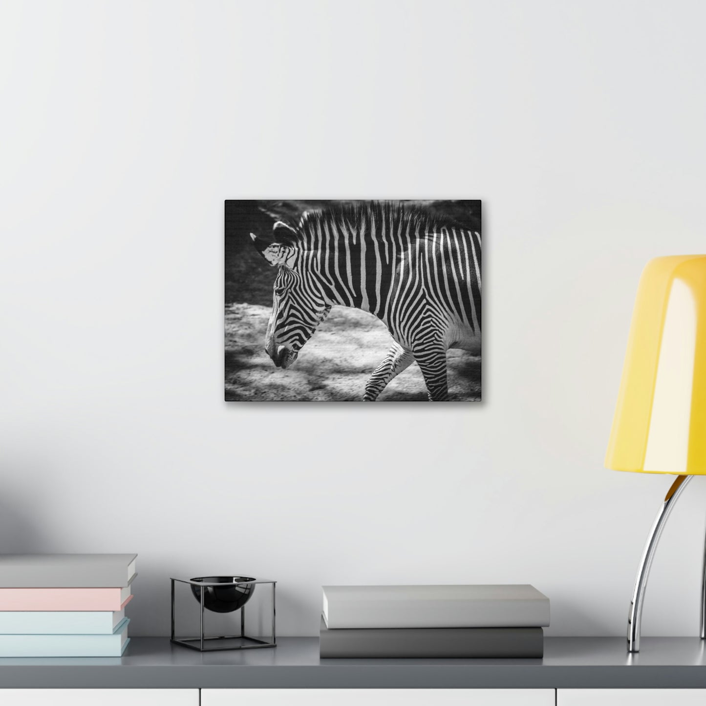 Zebra Bowing Canvas