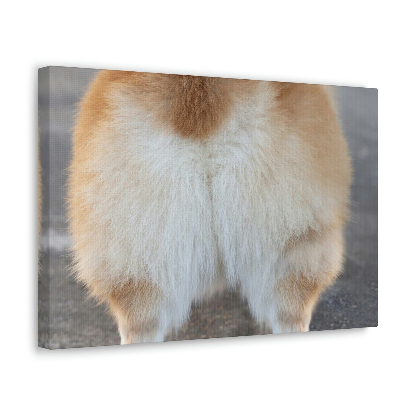 Corgi Butt Canvas