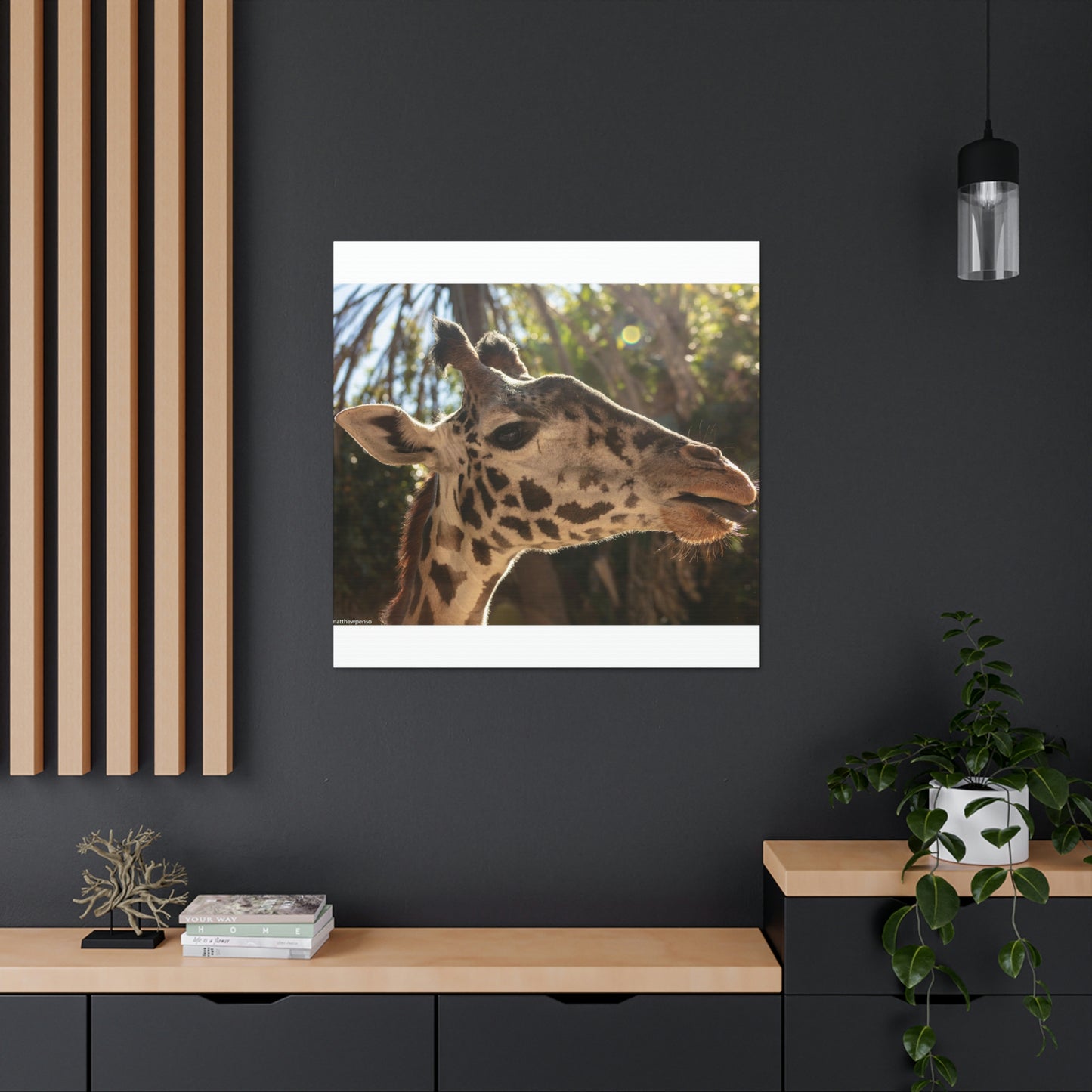 Smiling Giraffe Canvas