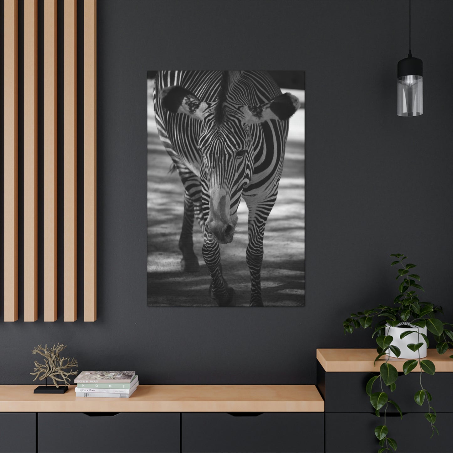 Zebra Walking Canvas