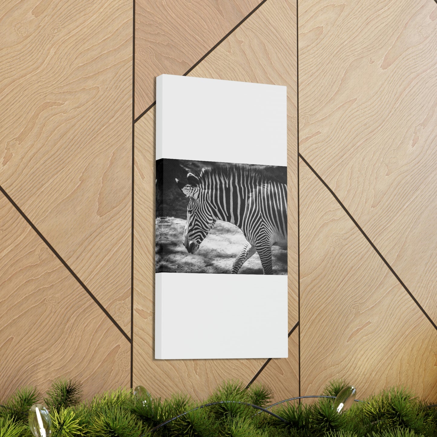 Zebra Bowing Canvas