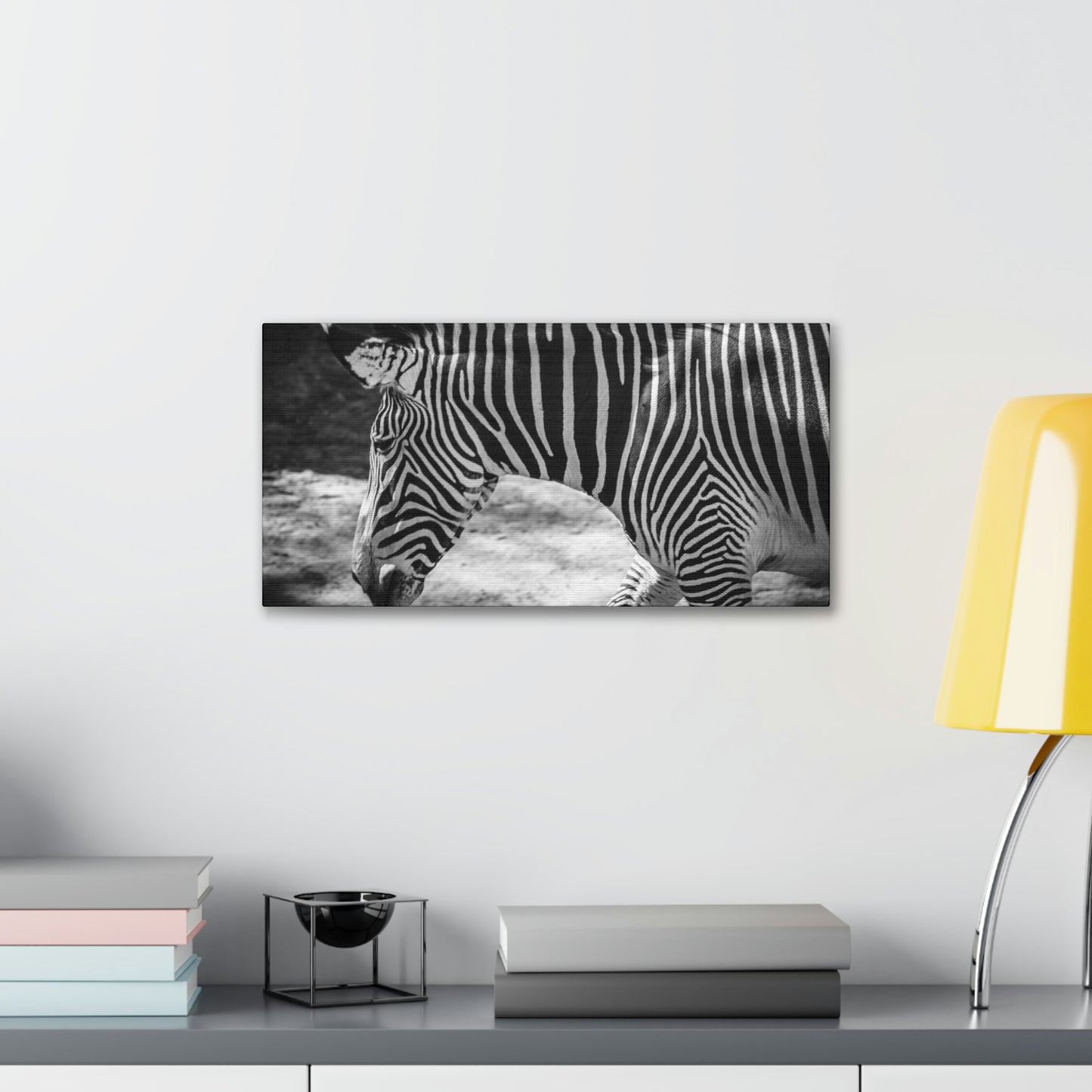 Zebra Bowing Canvas