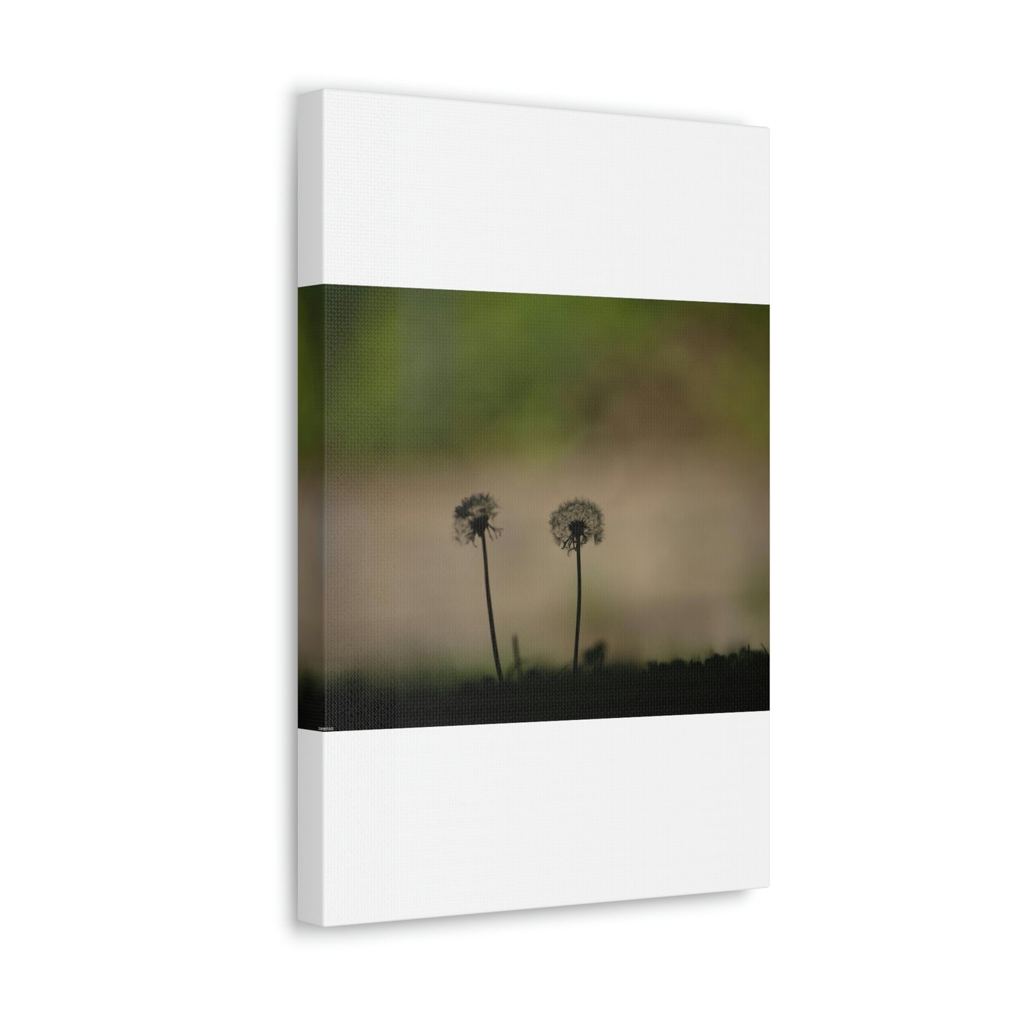 Dandelions Opposing Part 1 Canvas