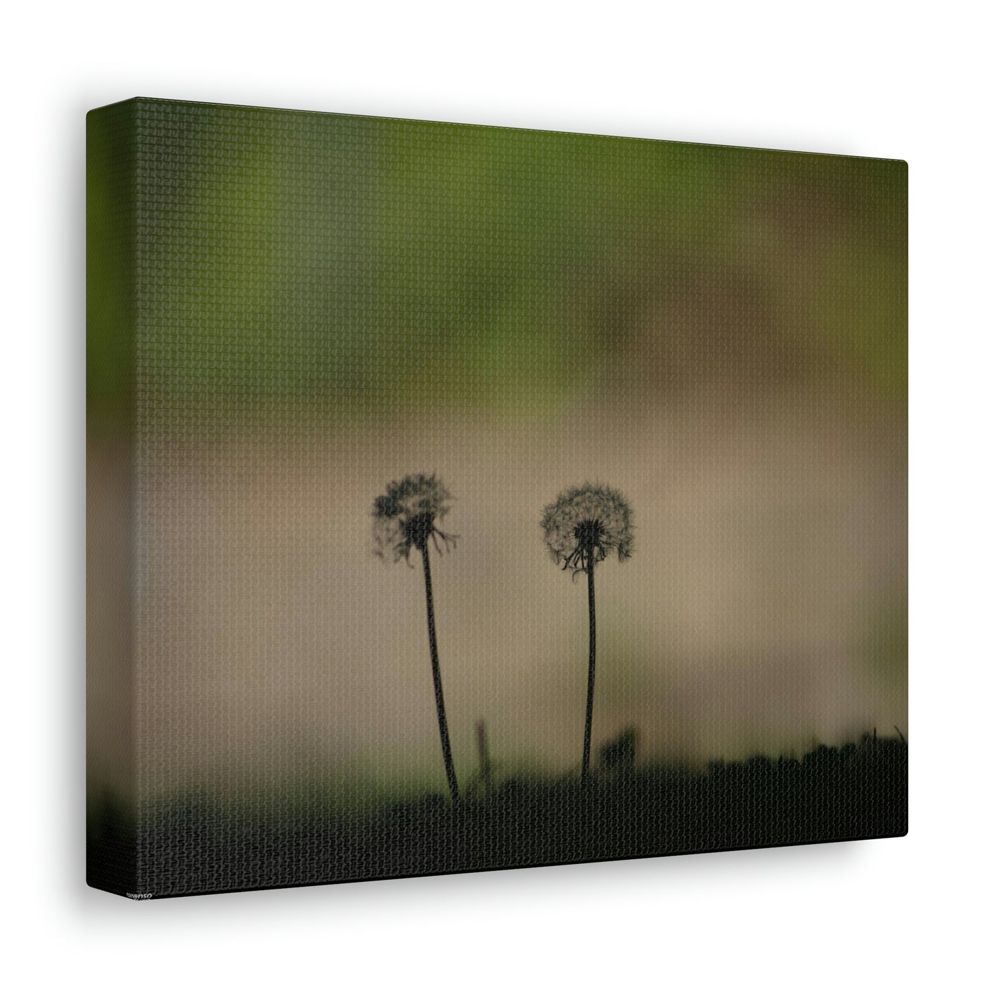 Dandelions Opposing Part 1 Canvas