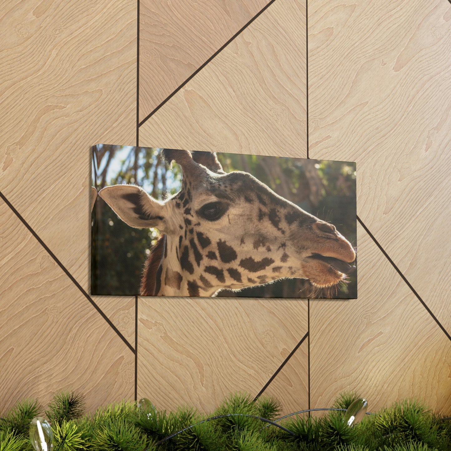 Smiling Giraffe Canvas