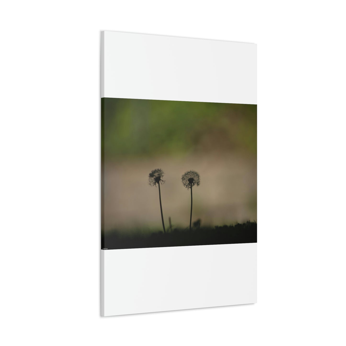 Dandelions Opposing Part 1 Canvas