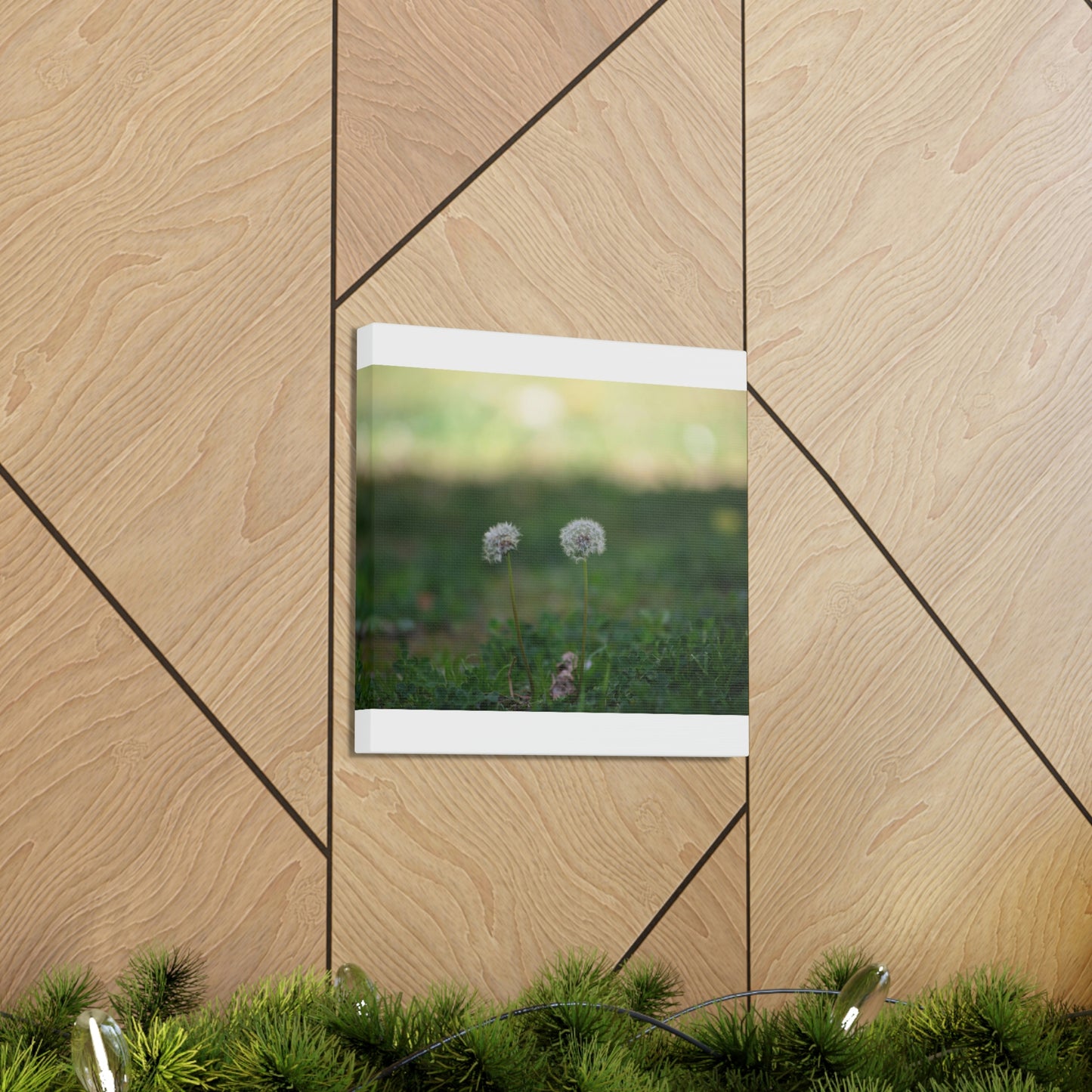 Dandelions Opposing Part 2 Canvas