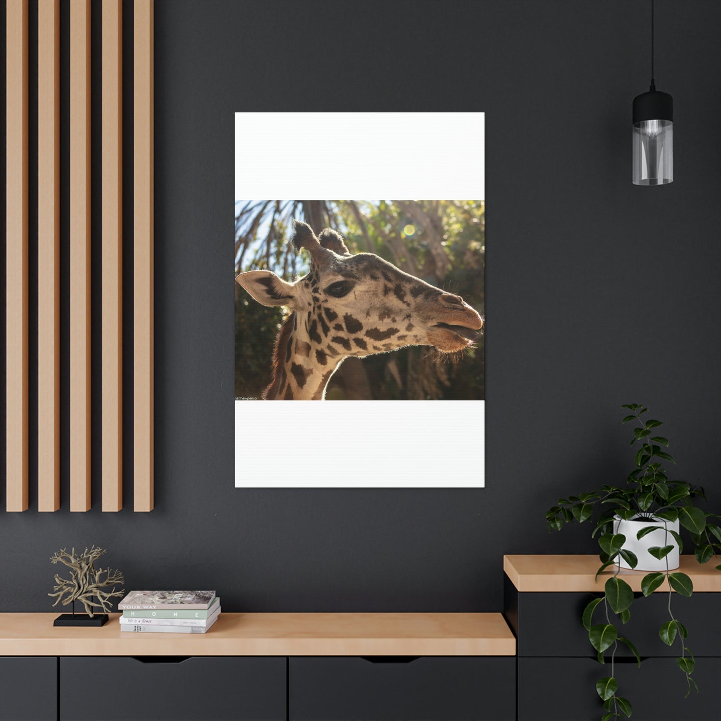 Smiling Giraffe Canvas