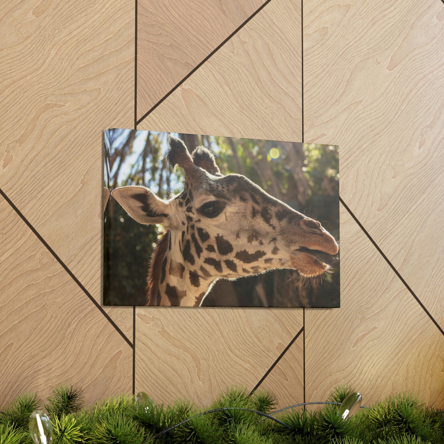 Smiling Giraffe Canvas