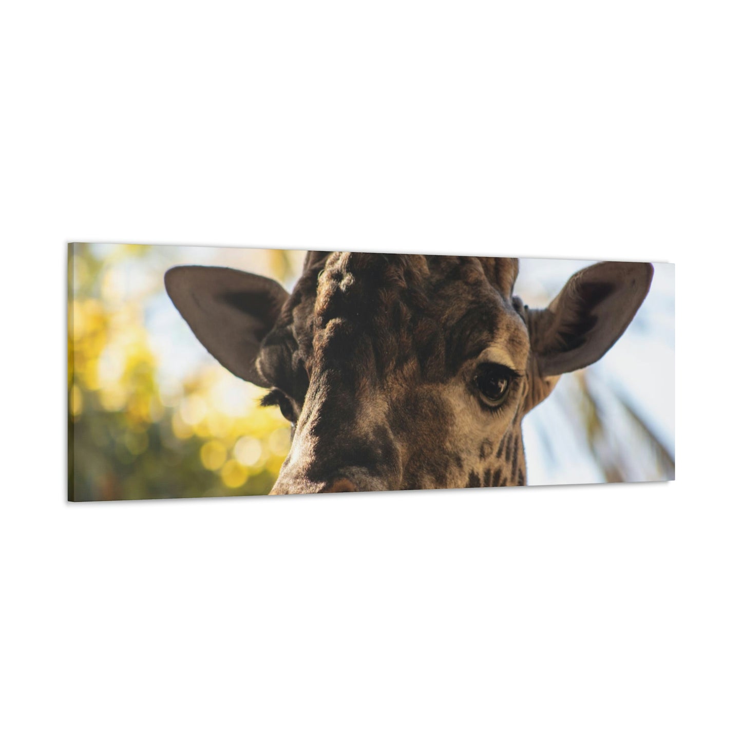 The Giraffe Says Hello Canvas