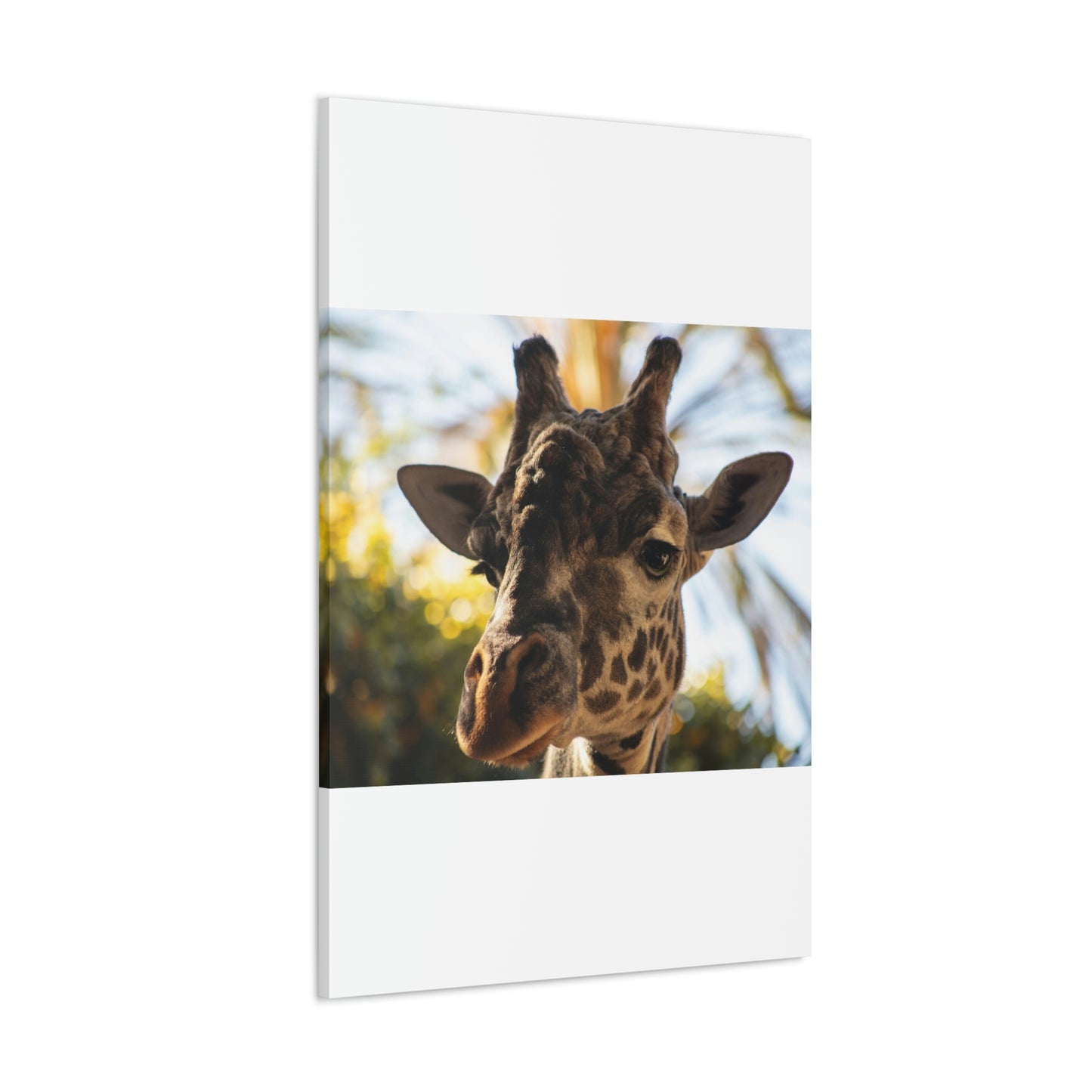 The Giraffe Says Hello Canvas